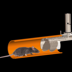 Montering af rottespærre når der er rotteproblemer