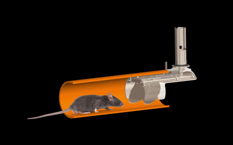 Montering af rottespærre når der er rotteproblemer 